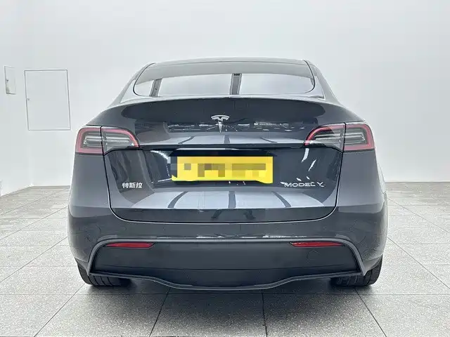 Tesla Model Y — миниатюра 5