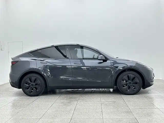 Tesla Model Y — миниатюра 7