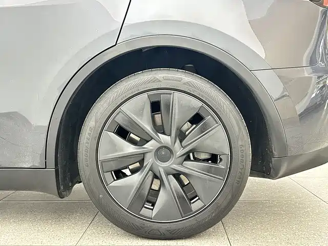 Tesla Model Y — миниатюра 16