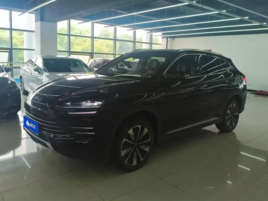 Byd PLUS New Energy 2025