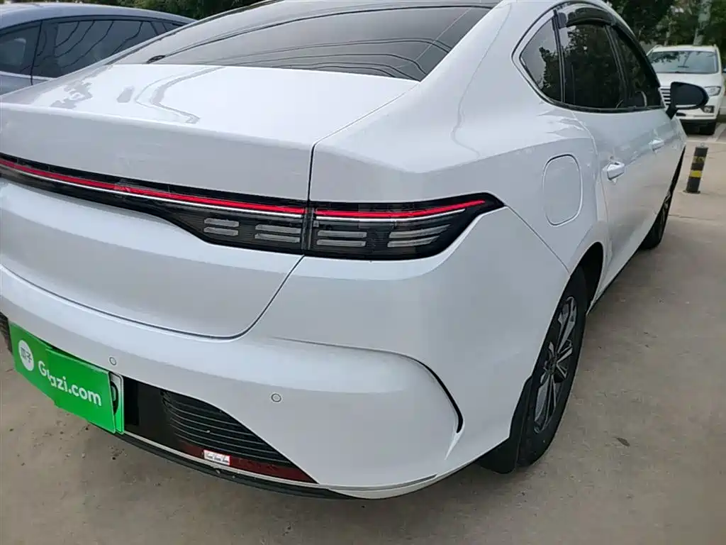 BYD Destroyer 05 2024 DM-i 55KM Luxury