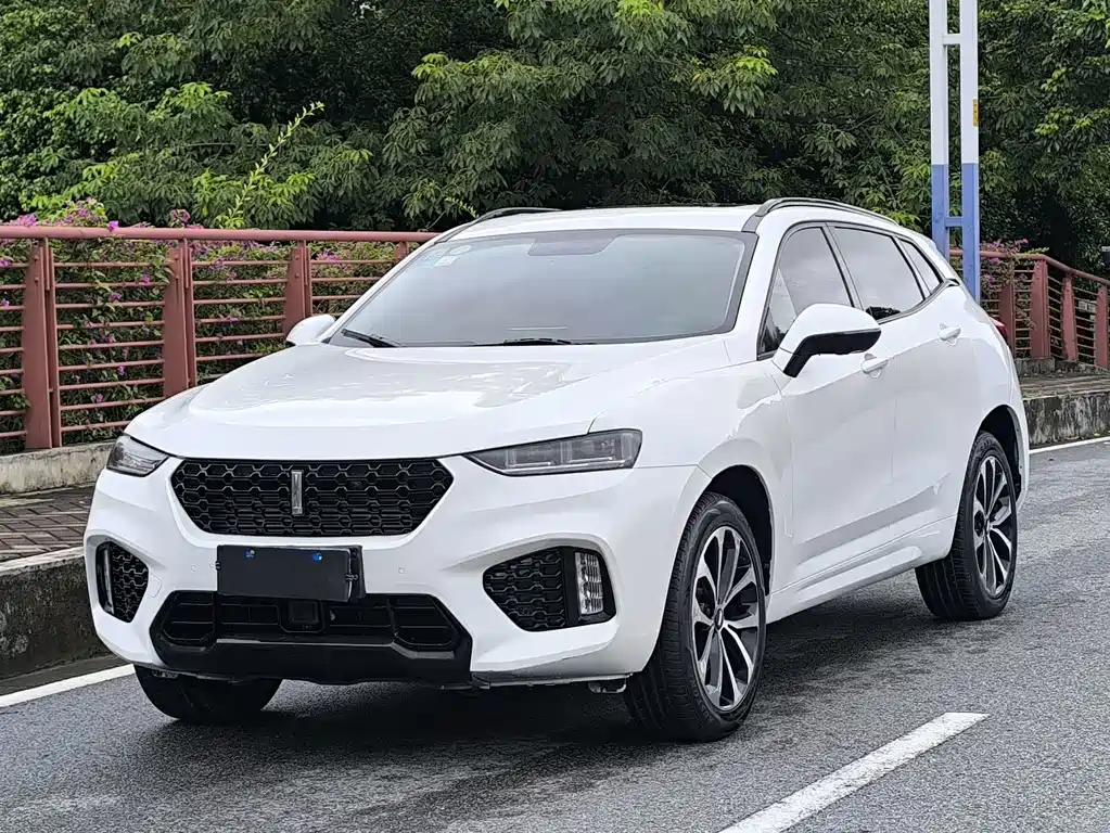 2018 Wey VV7 - zdjęcie 1 z 22