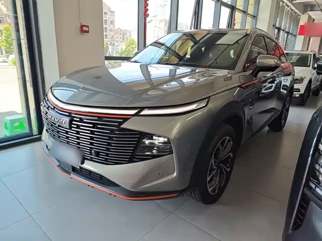 2022 Haval Shenshou