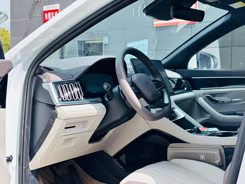 BYD PLUS New Energy — миниатюра 5
