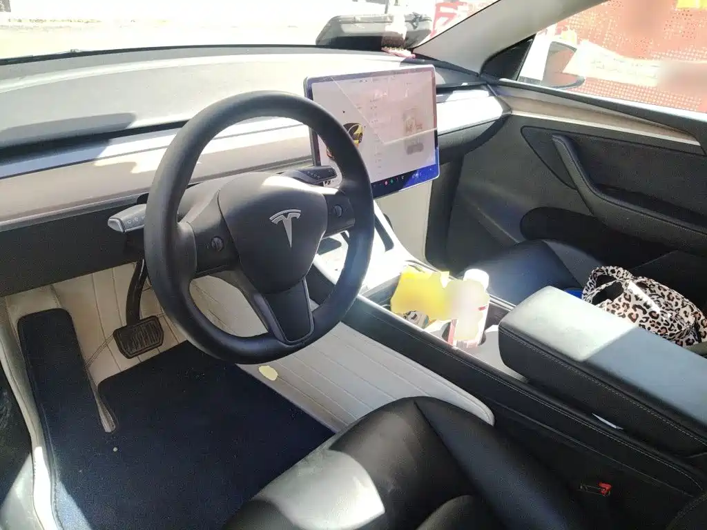 Tesla Model Y — миниатюра 5