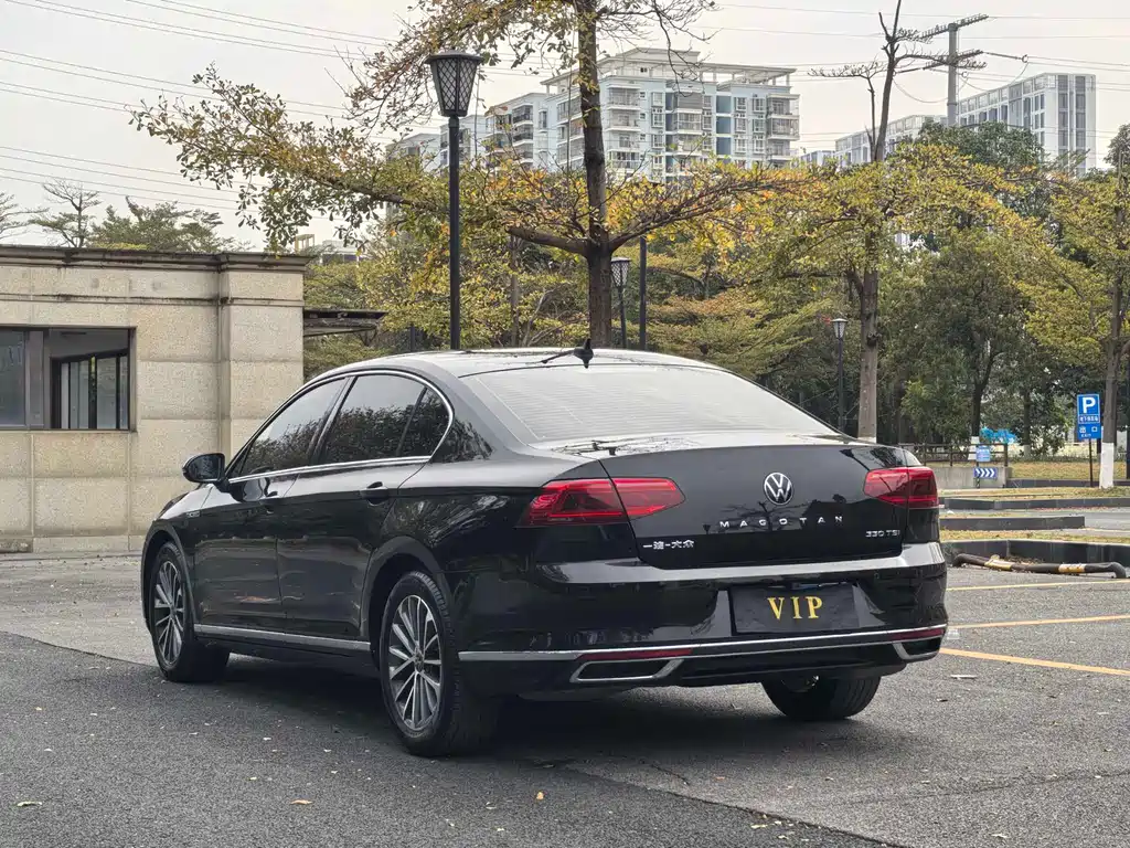 Volkswagen Magotan 2020 330TSI DSG Luxury