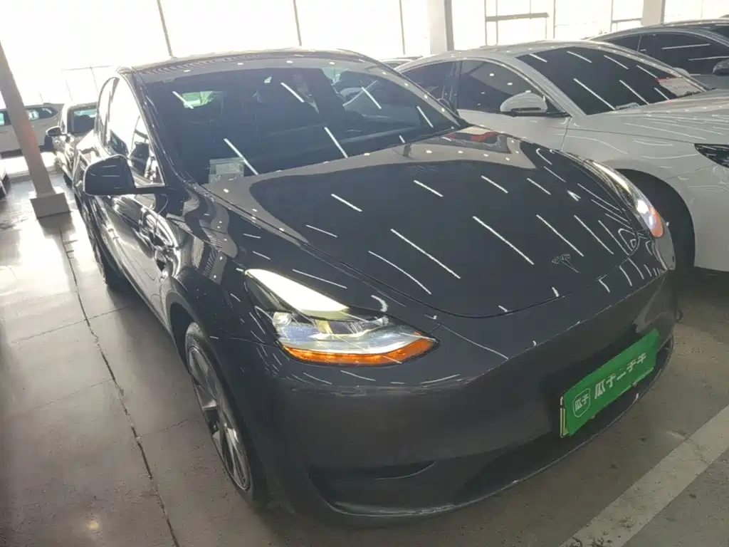 Tesla Model Y — миниатюра 4