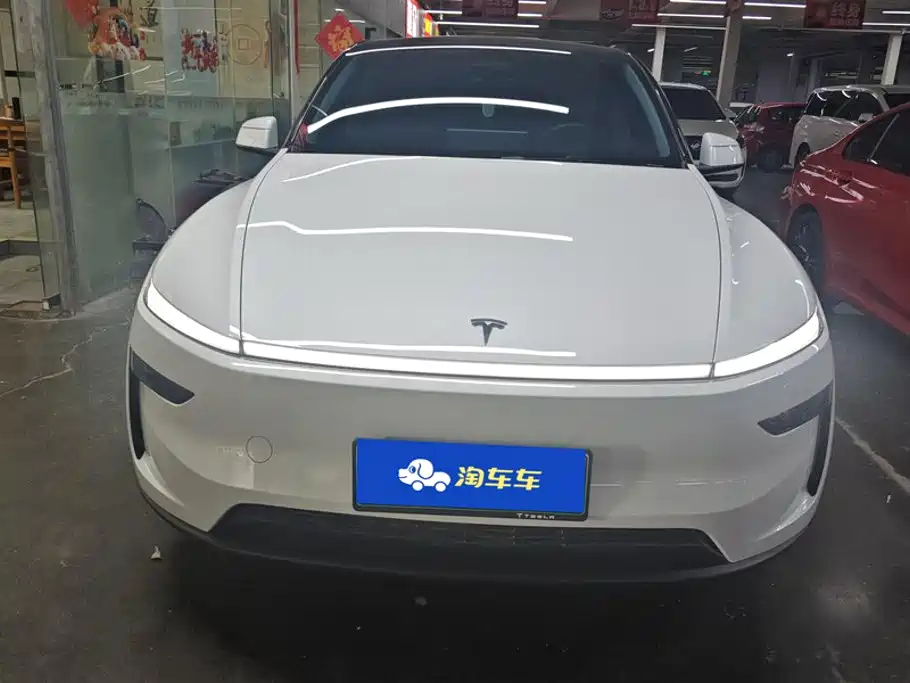 Tesla Model Y — миниатюра 2