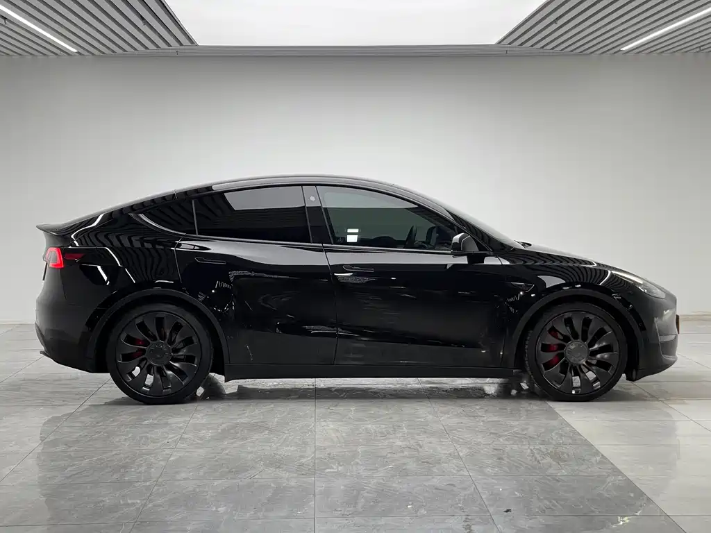 Tesla Model Y — миниатюра 8