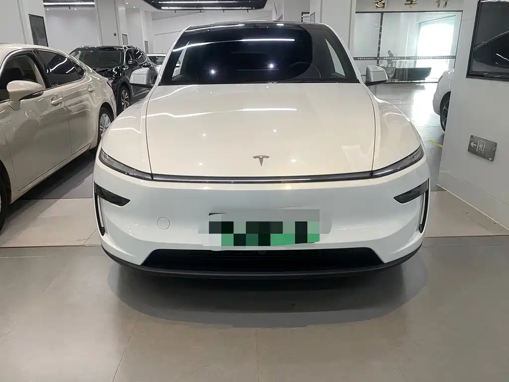 Tesla Model Y — миниатюра 2