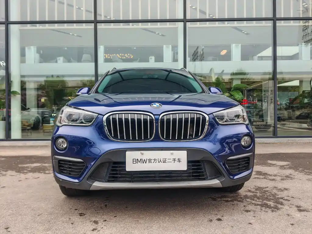 BMW X1 2019 sDrive20Li Lead