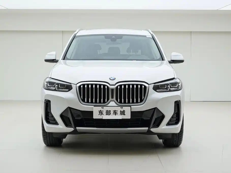 BMW X3 — миниатюра 2