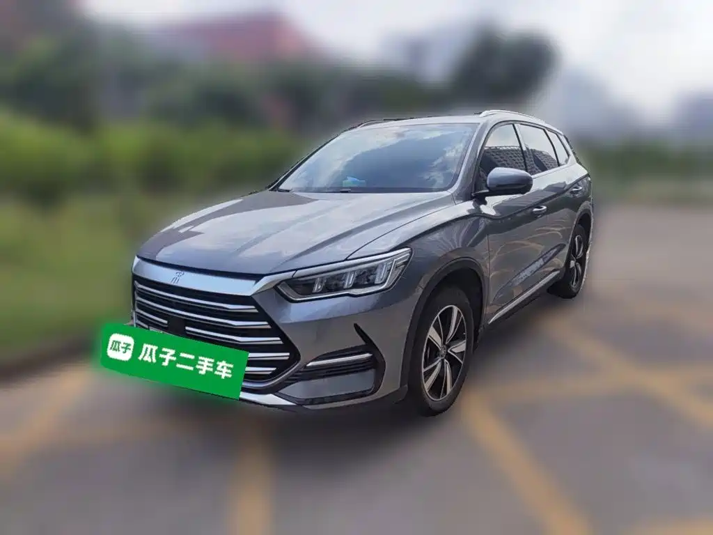BYD Pro New Energy