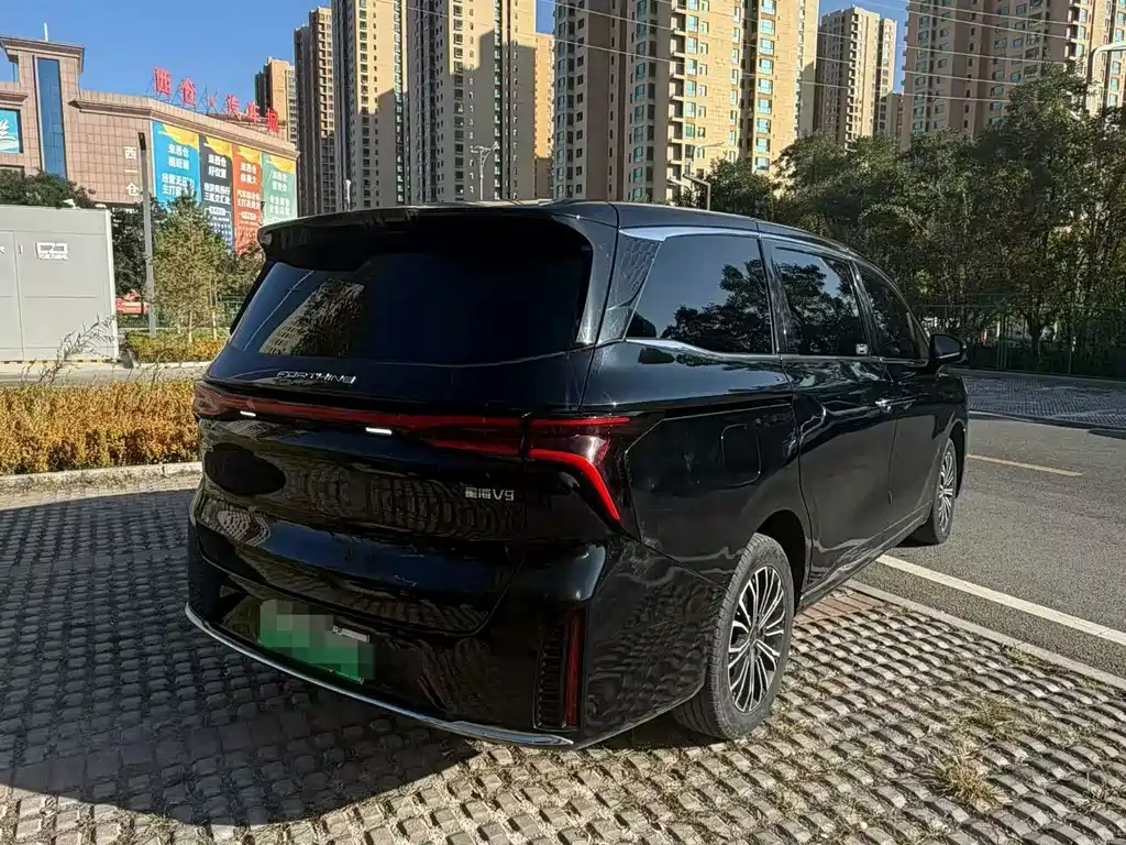Fengxing Xinghai V9 — миниатюра 4