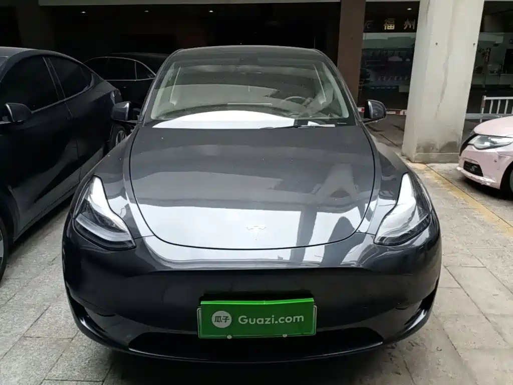 Tesla Model Y — миниатюра 3