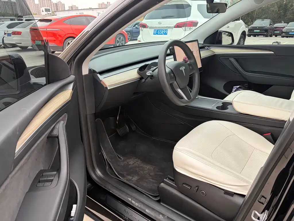 Tesla Model Y — миниатюра 6