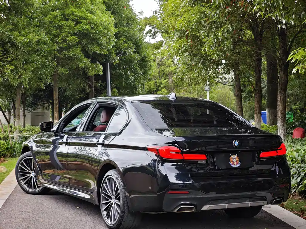 BMW 5 Series — миниатюра 6