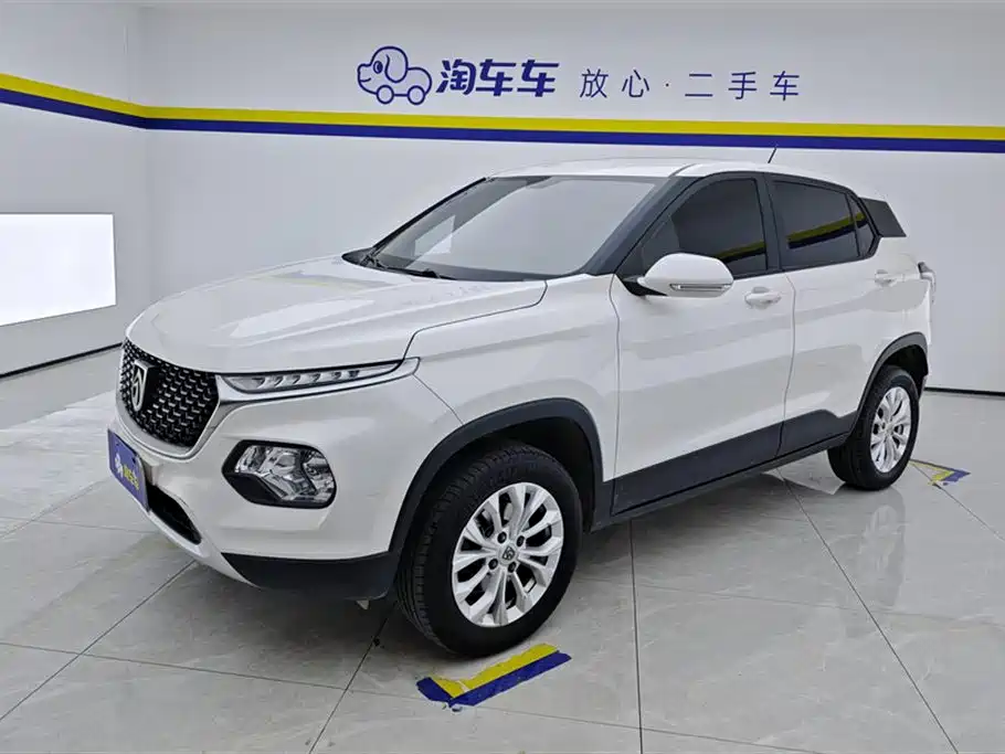 BAOJUN 510