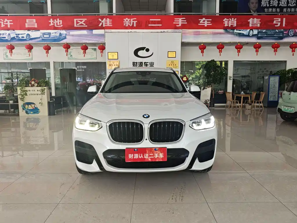 BMW X3 — миниатюра 2