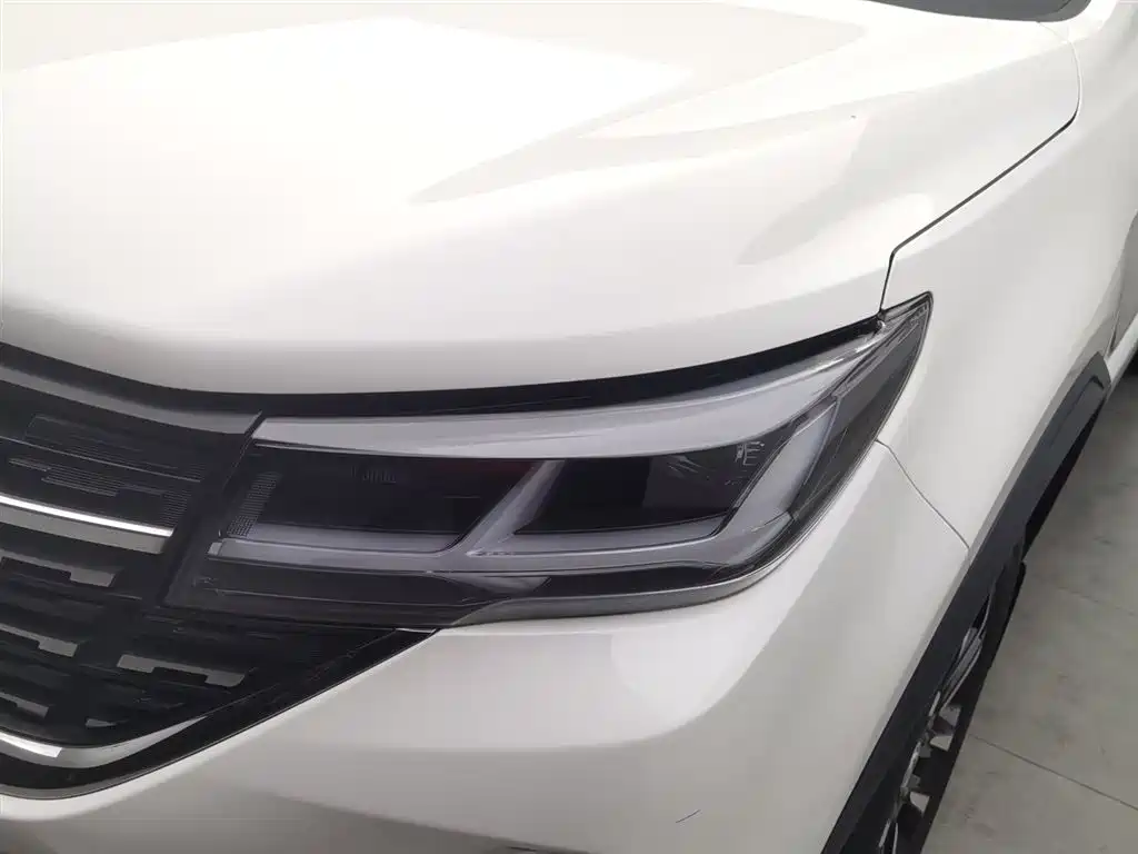 DONGFENG POPULAR T5L