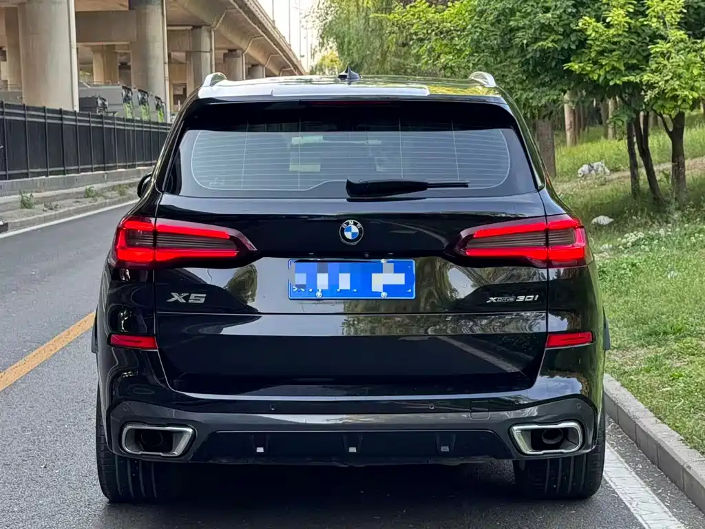 BMW X5 2021 xDrive30i M Sport