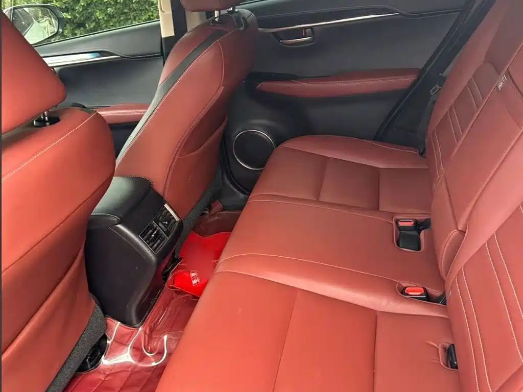 Lexus NX — миниатюра 18