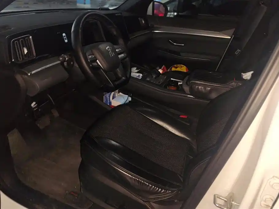 BYD SONGJIANG NEW ENERGY