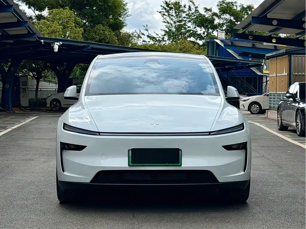 Tesla Model Y — миниатюра 2