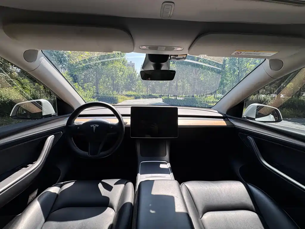 Tesla Model Y — миниатюра 8