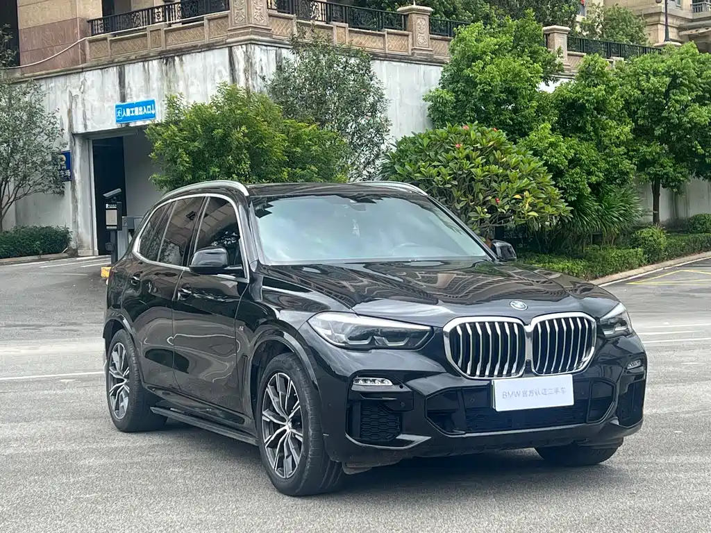 BMW X5 (Import) — миниатюра 3