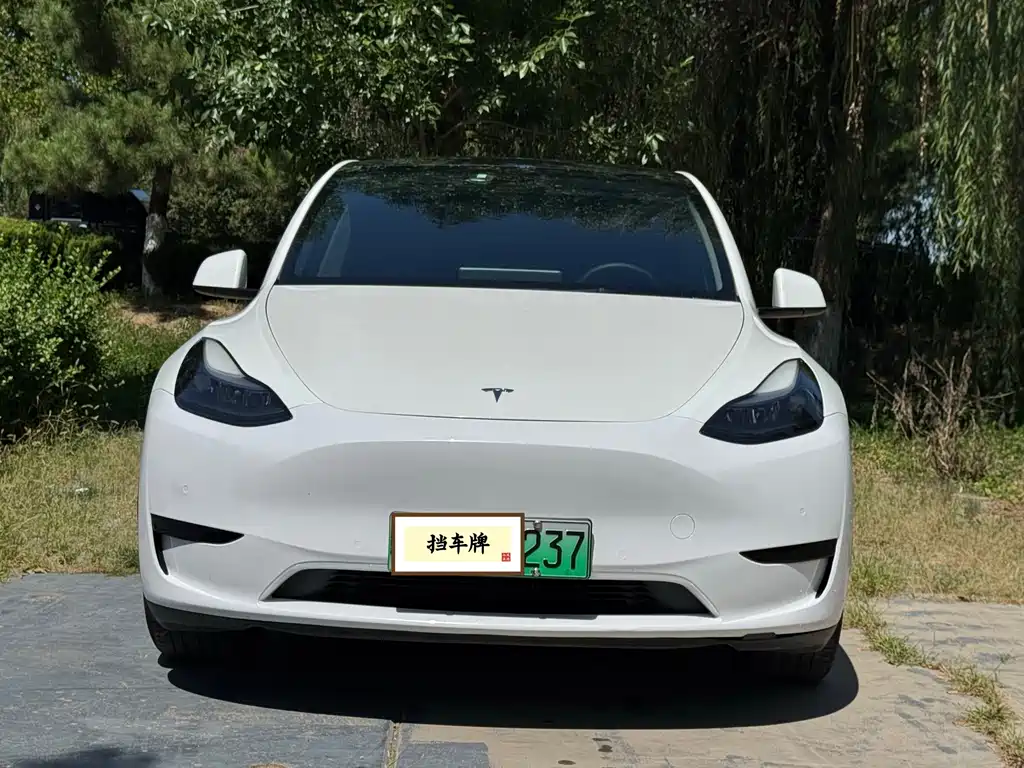 Tesla Model Y — миниатюра 2