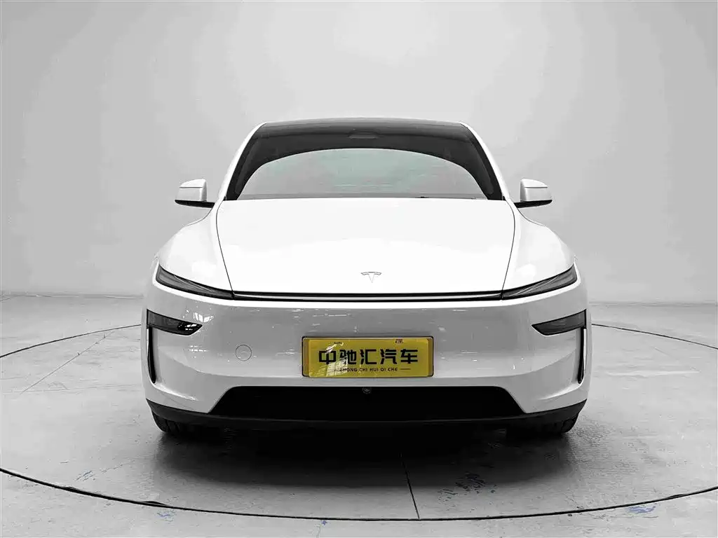 Tesla Model Y — миниатюра 2