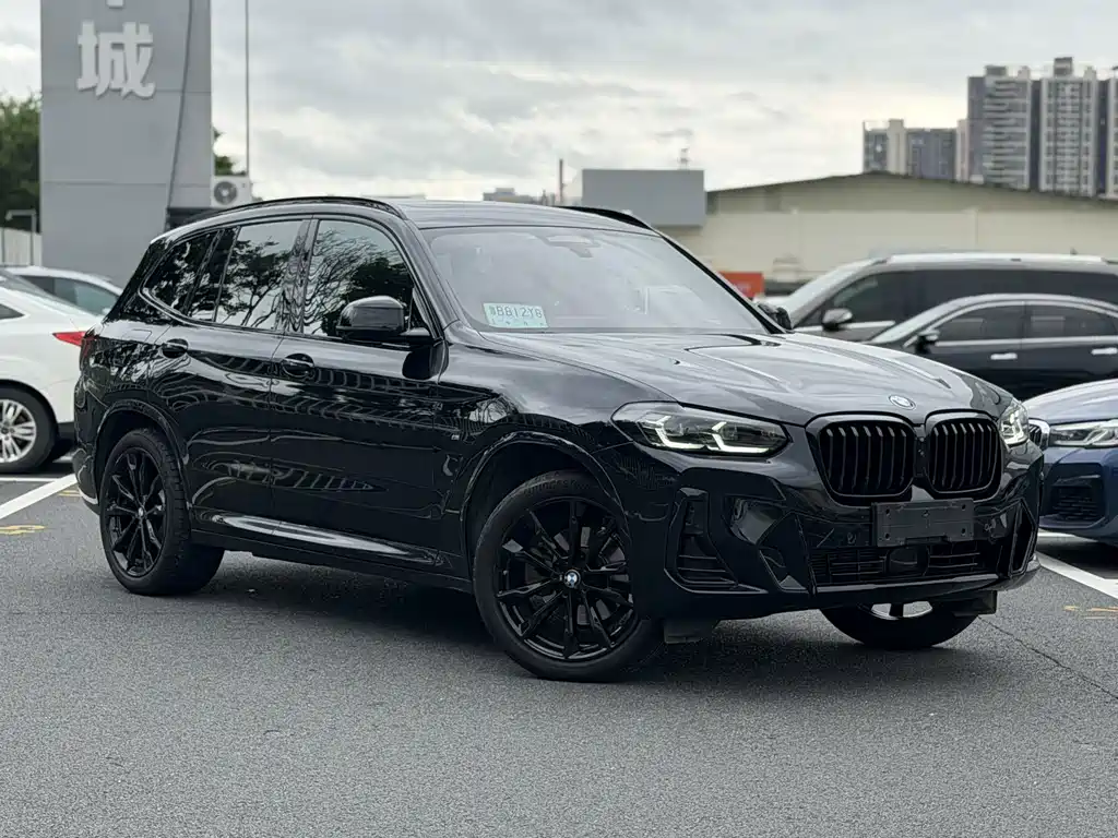 BMW X3 — миниатюра 2