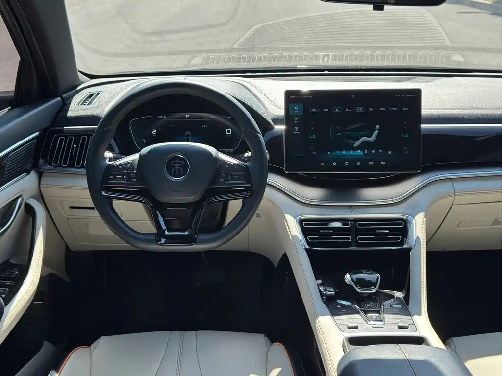 BYD PLUS New Energy — миниатюра 4