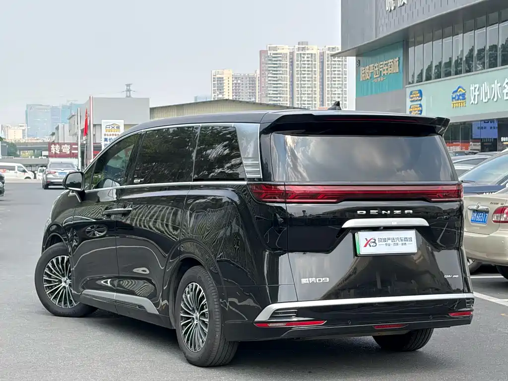 Denza Denza D9 — миниатюра 4