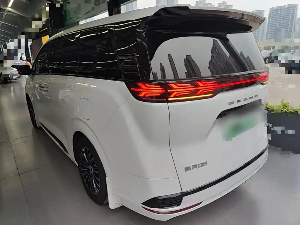 Denza Denza D9 — миниатюра 5
