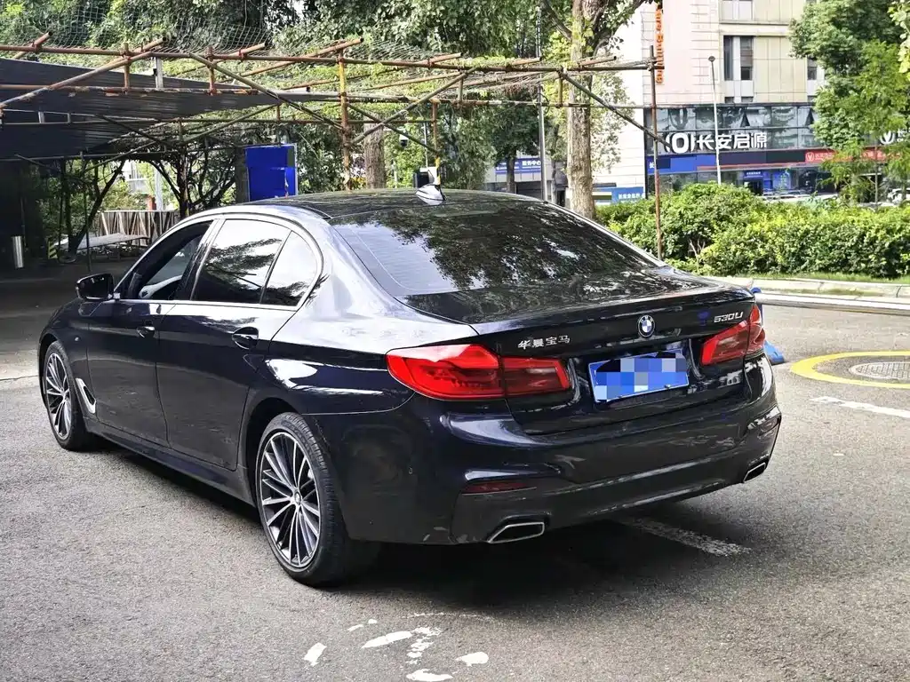BMW 5 Series — миниатюра 4