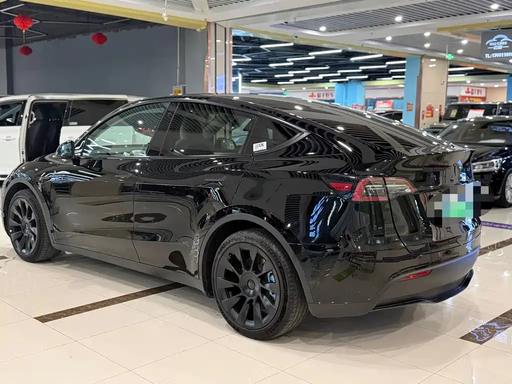 Tesla Model Y — миниатюра 9