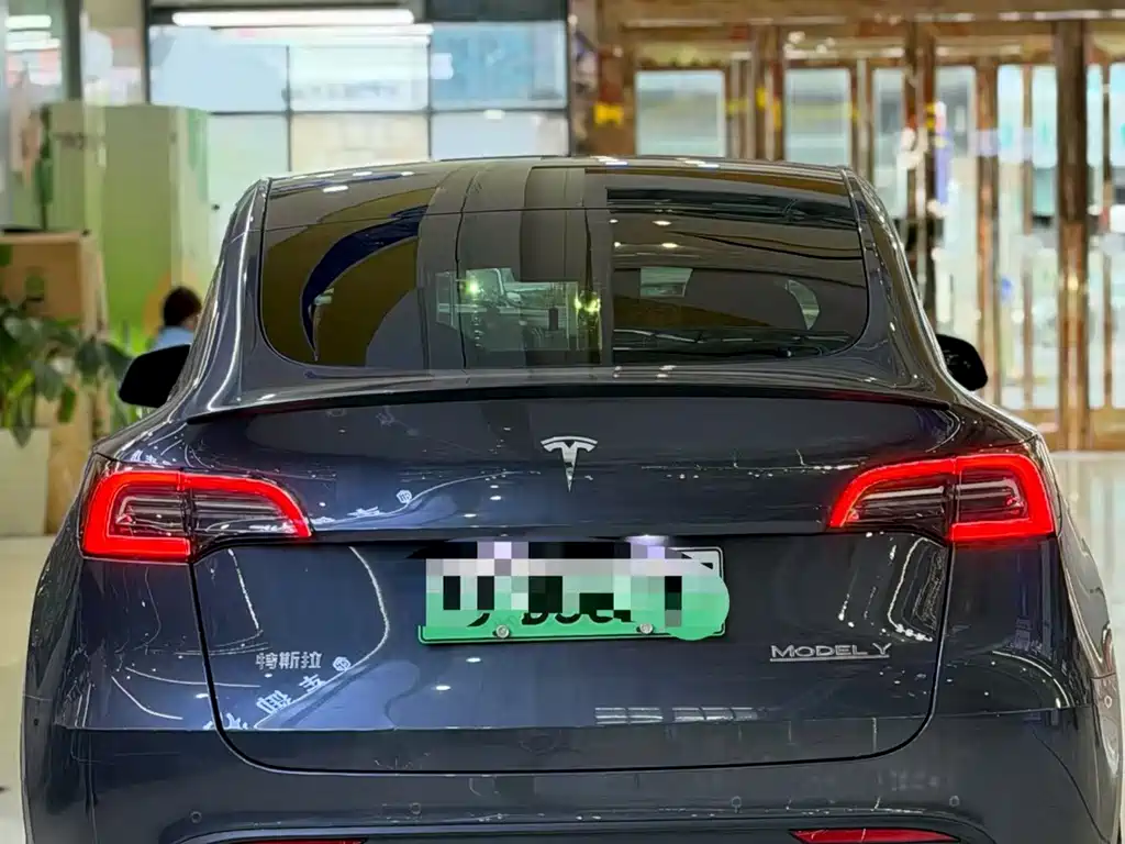 Tesla Model Y — миниатюра 4
