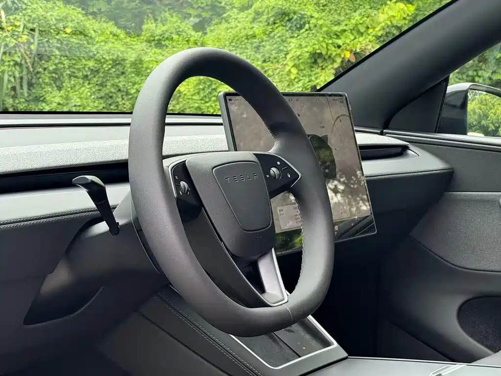 Tesla Model Y — миниатюра 18