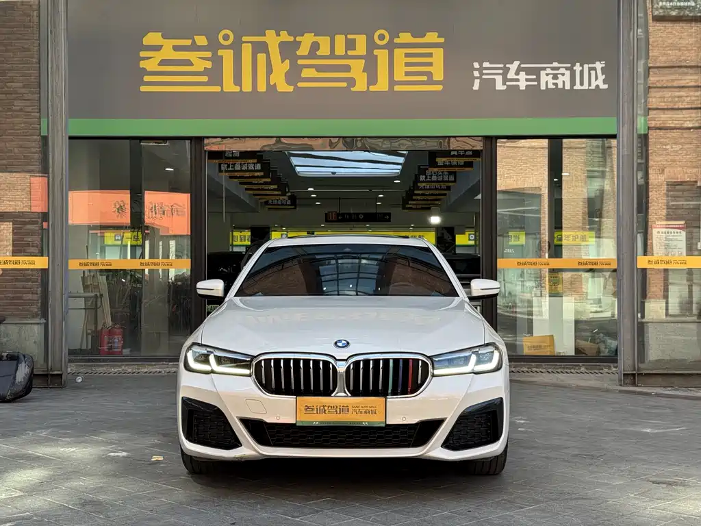 BMW 5 Series — миниатюра 2
