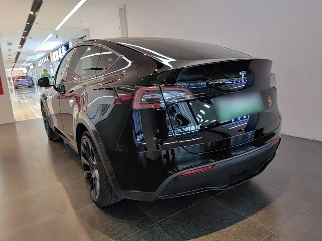 Tesla Model Y — миниатюра 5
