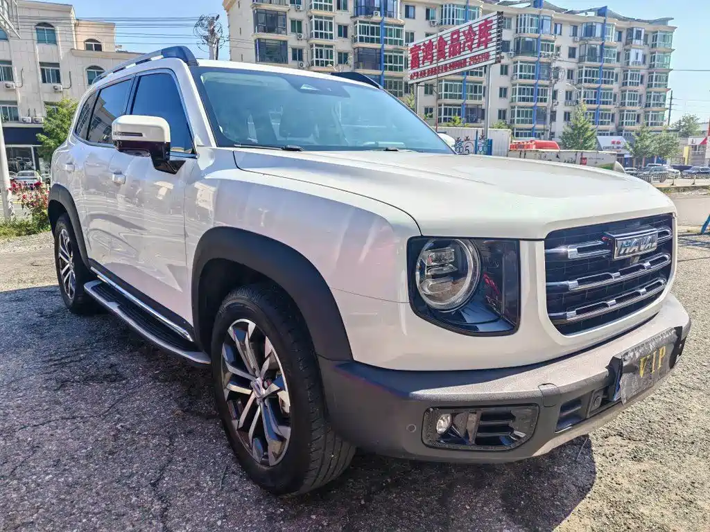 HAVAL BIG DOG