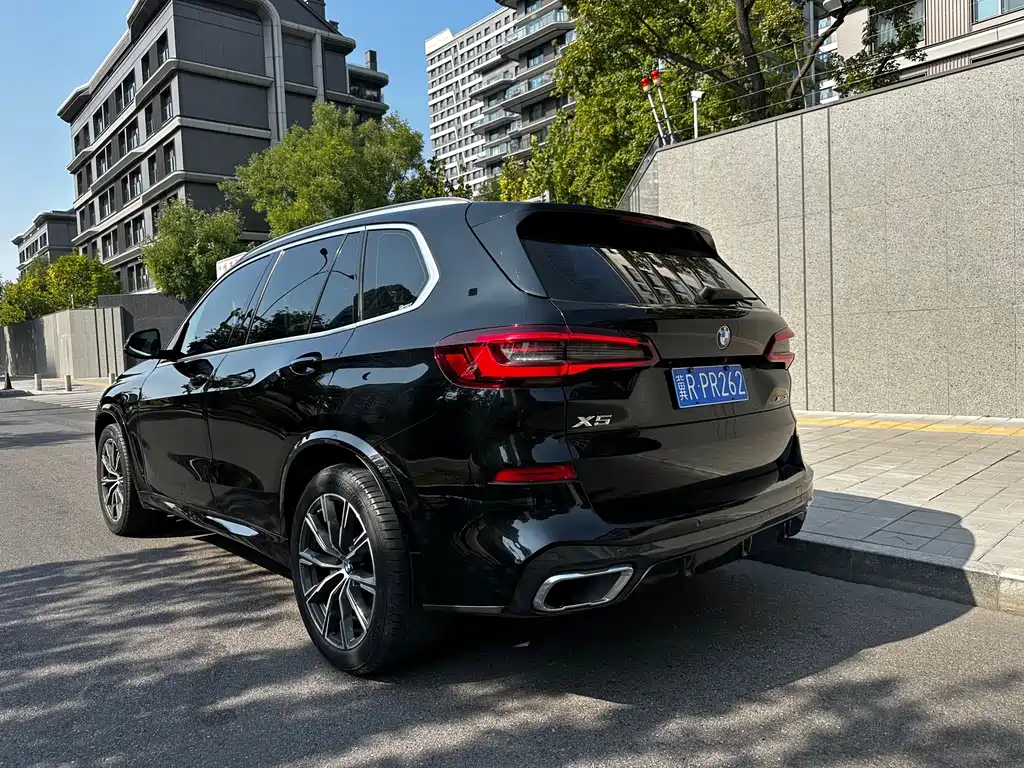 BMW X5 (Import) — миниатюра 5