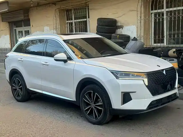 QICHEN XING 2023