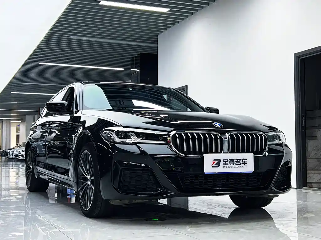 BMW 5 Series — миниатюра 3