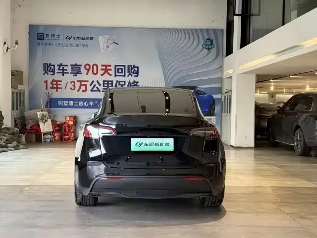 Tesla Model Y — миниатюра 8