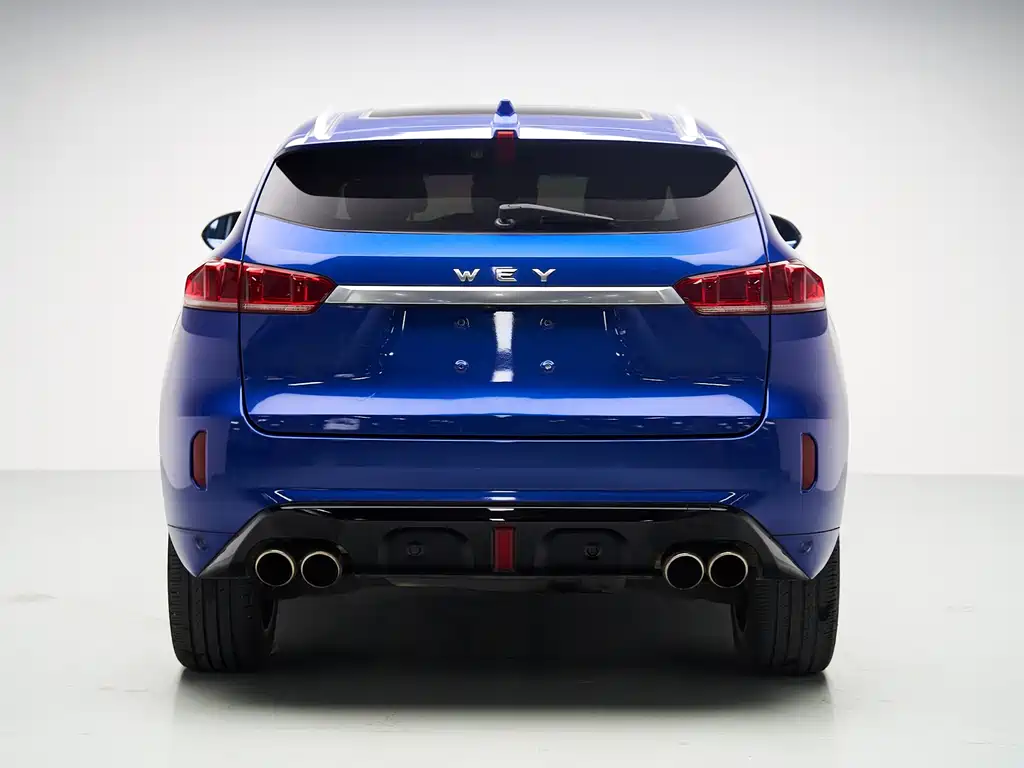 WEI PAI WEI BRAND VV7