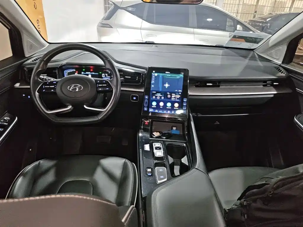Hyundai Custo — миниатюра 10