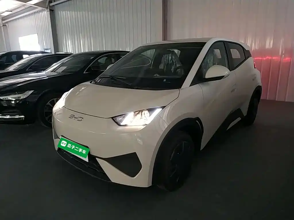 BYD Seagull 2025 Smart Drive Edition 305km Vitality Edition